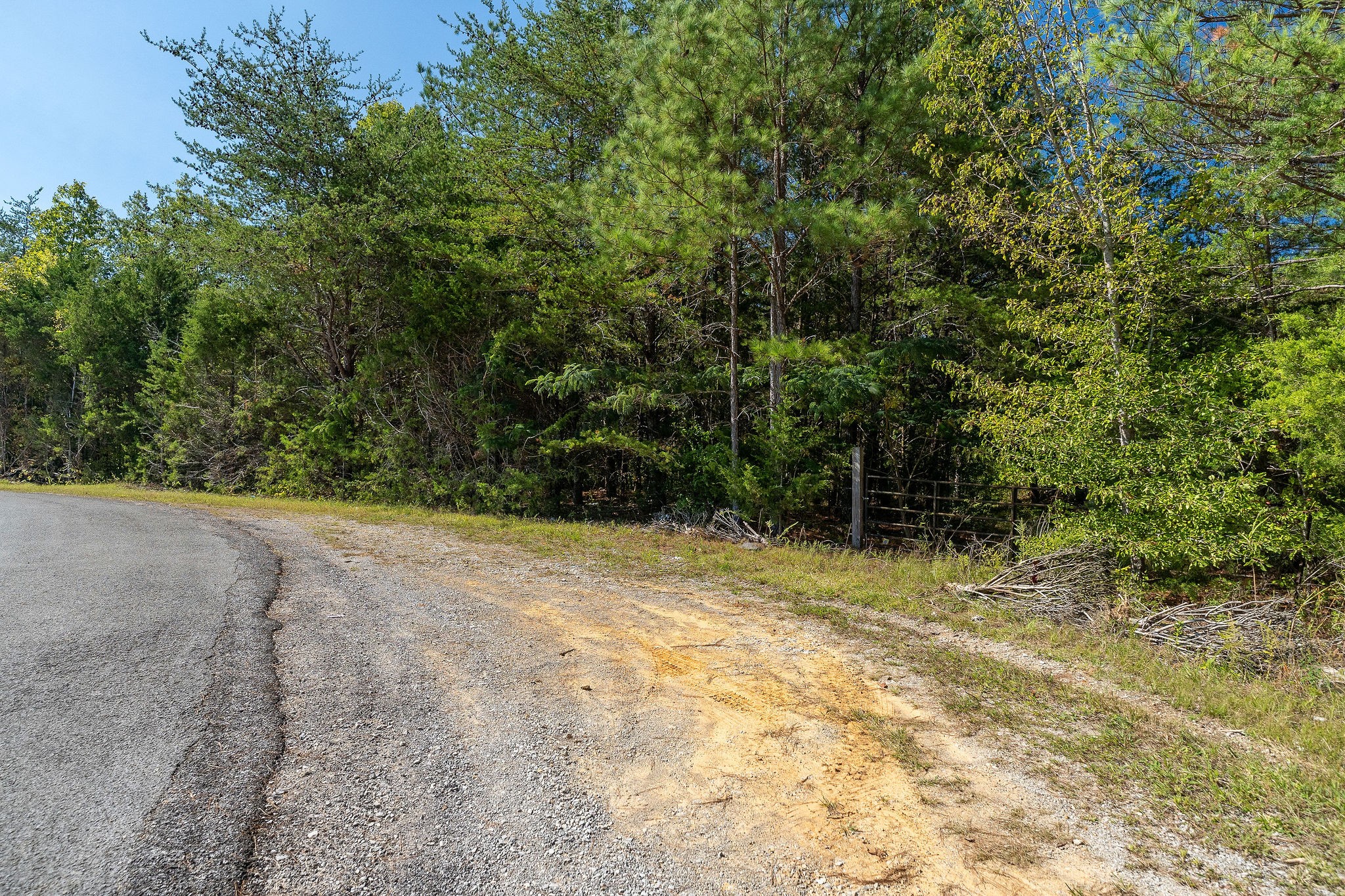 0 R R Gribble Road Rock Island, TN 38581 - Photo 14 of 16