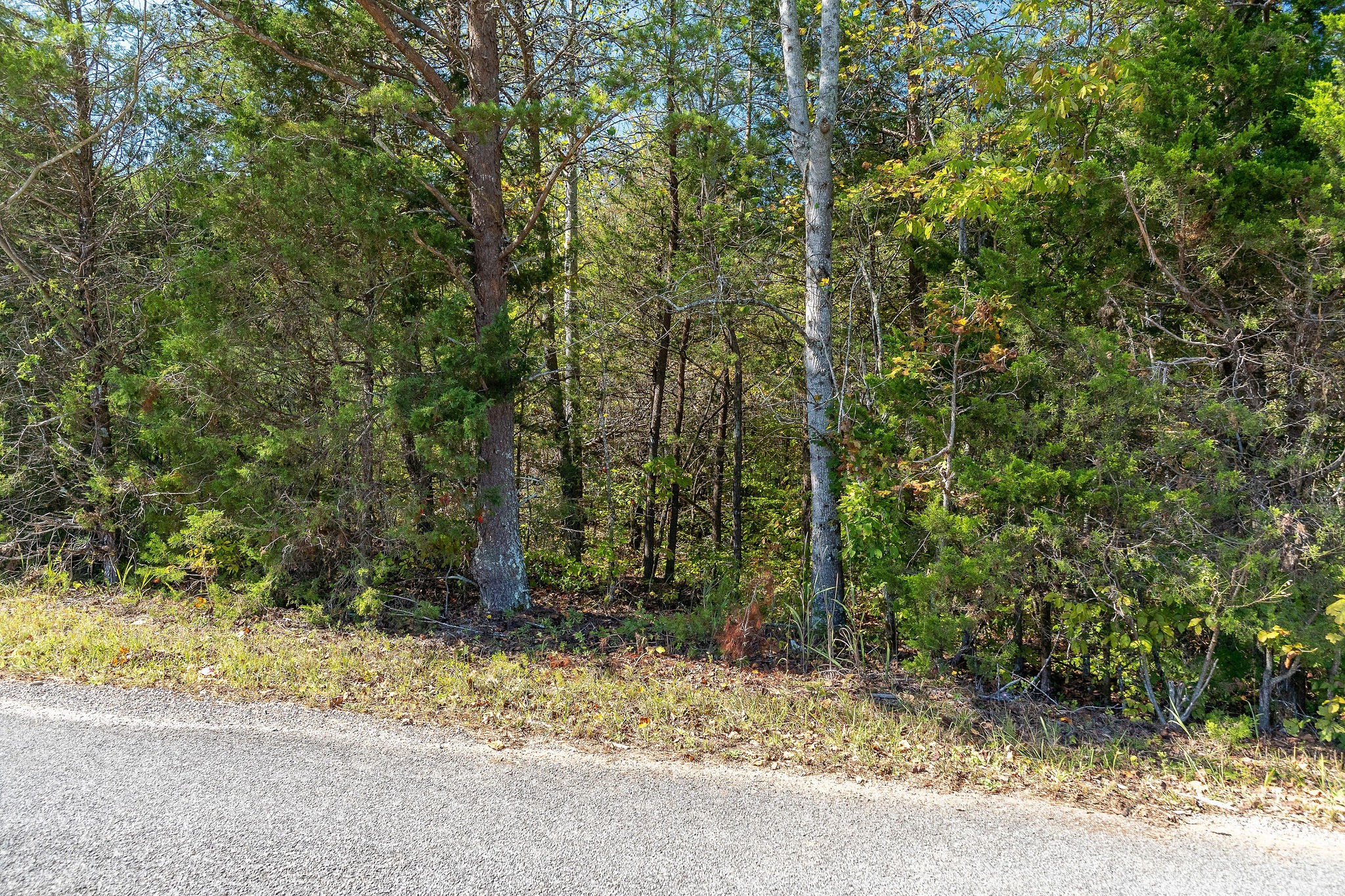 0 R R Gribble Road Rock Island, TN 38581 - Photo 15 of 16