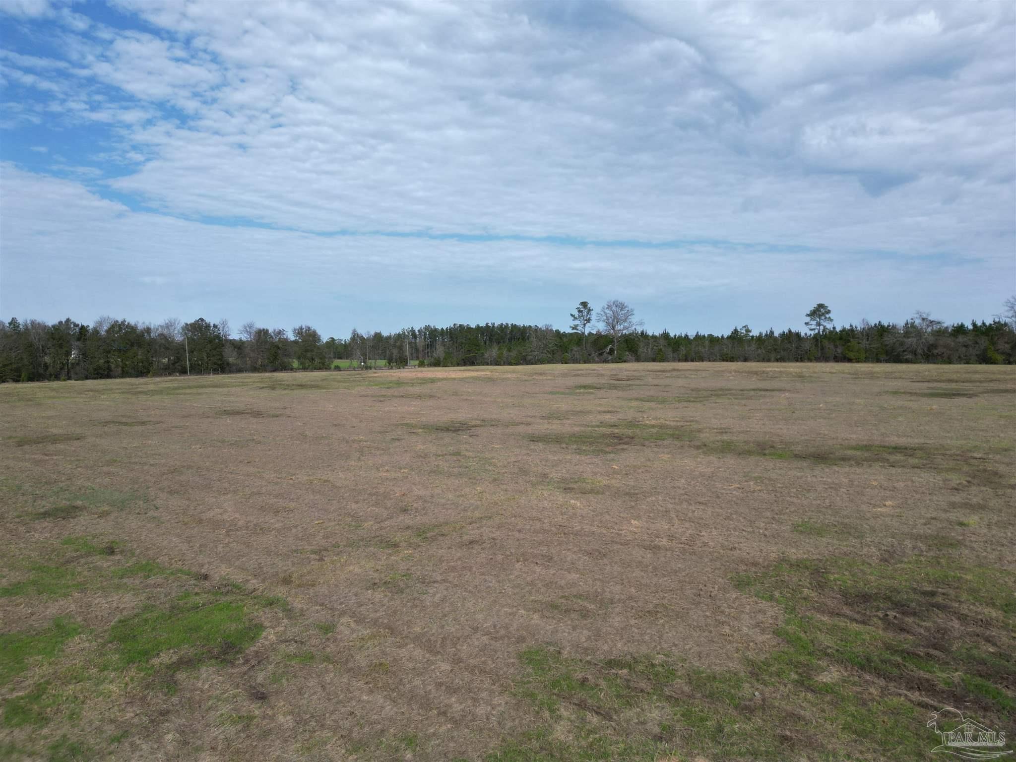 0 Sandy Hollow Road Century, FL 32535 - Photo 11 of 14 Gallery Image 11