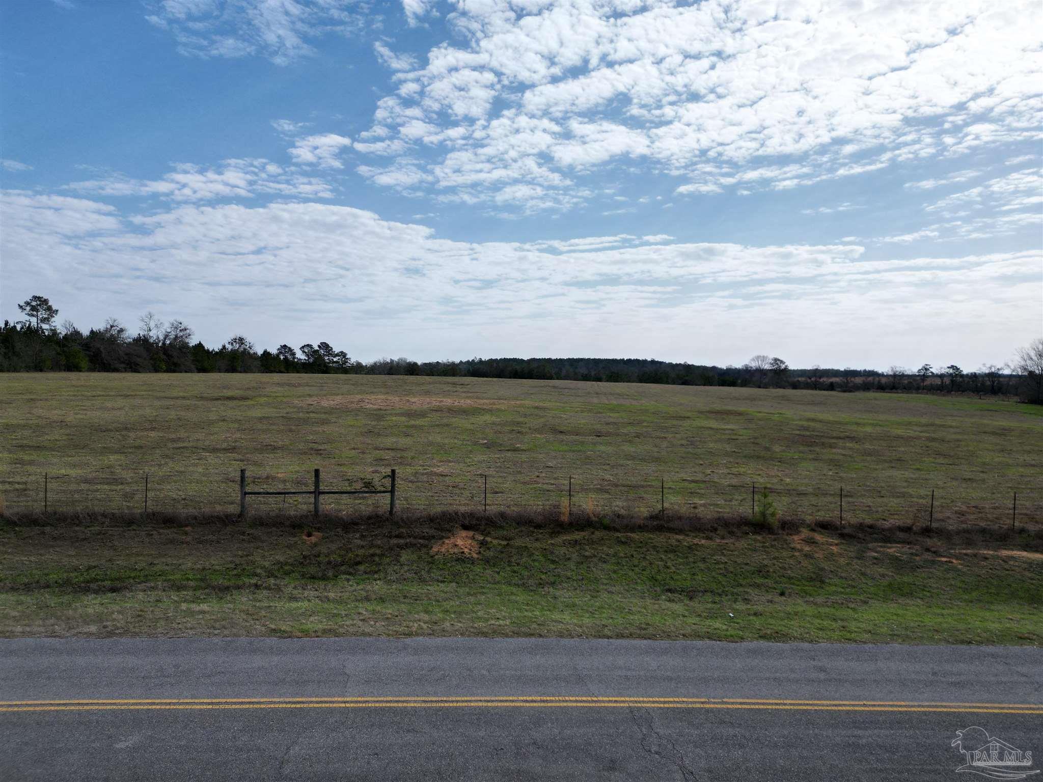 0 Sandy Hollow Road Century, FL 32535 - Photo 2 of 14 Gallery Image 2