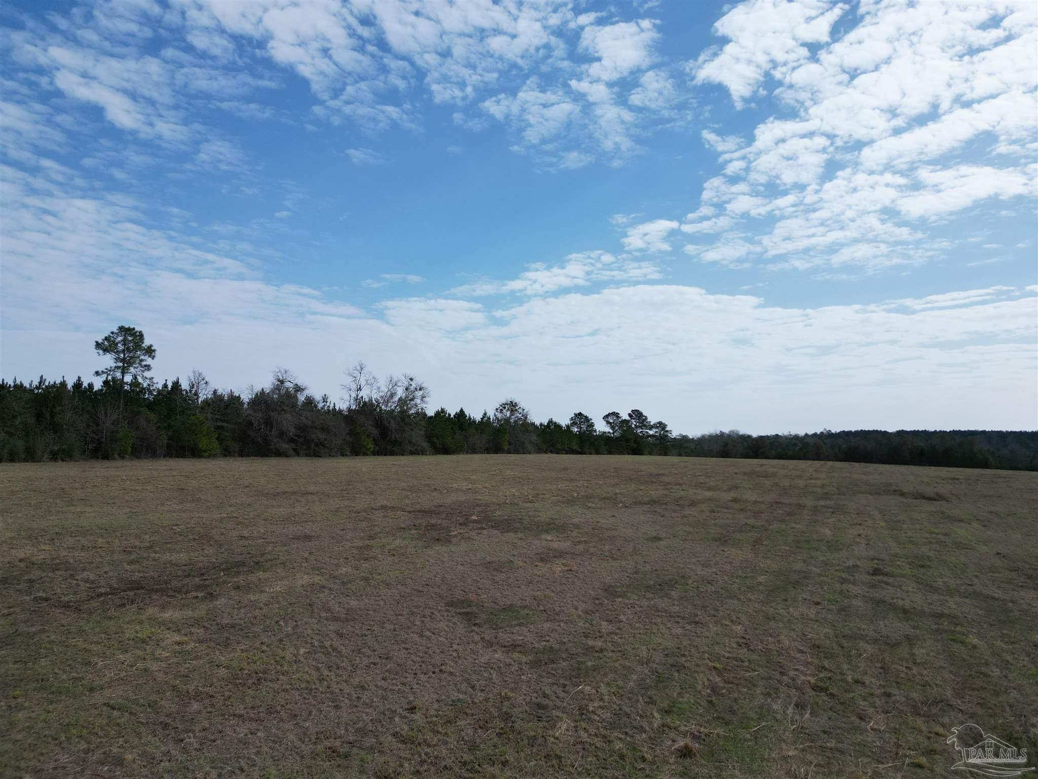 0 Sandy Hollow Road Century, FL 32535 - Photo 3 of 14 Gallery Image 3