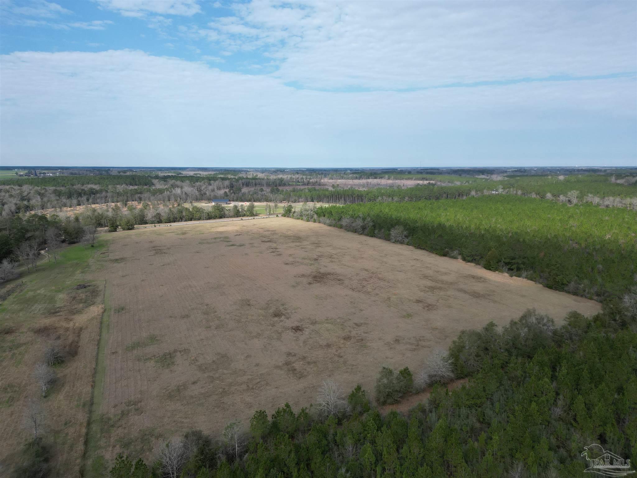 0 Sandy Hollow Road Century, FL 32535 - Photo 5 of 14 Gallery Image 5