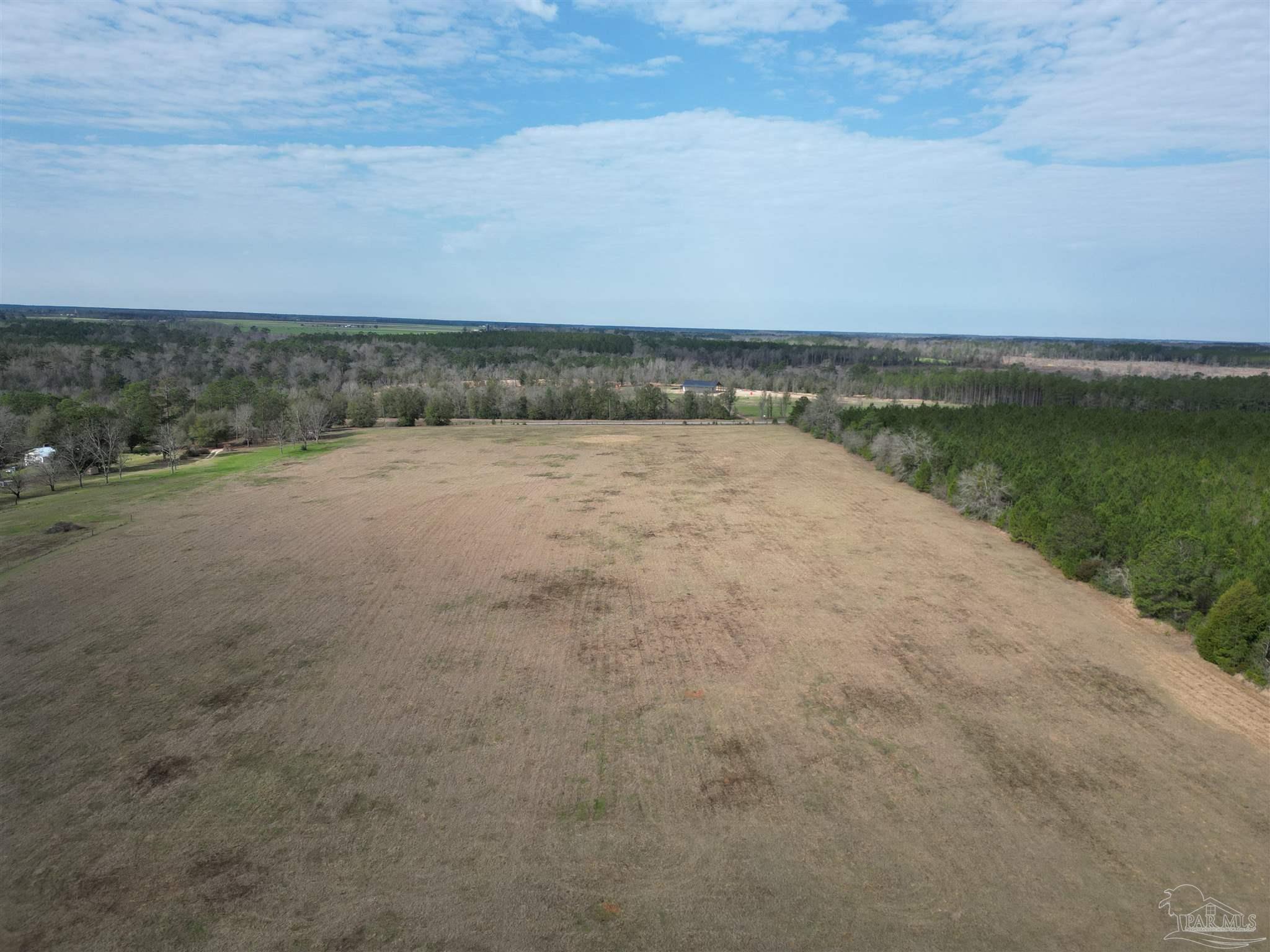 0 Sandy Hollow Road Century, FL 32535 - Photo 6 of 14 Gallery Image 6