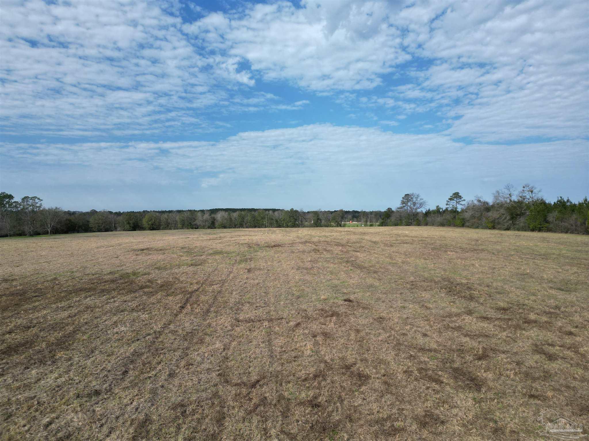 0 Sandy Hollow Road Century, FL 32535 - Photo 7 of 14 Gallery Image 7