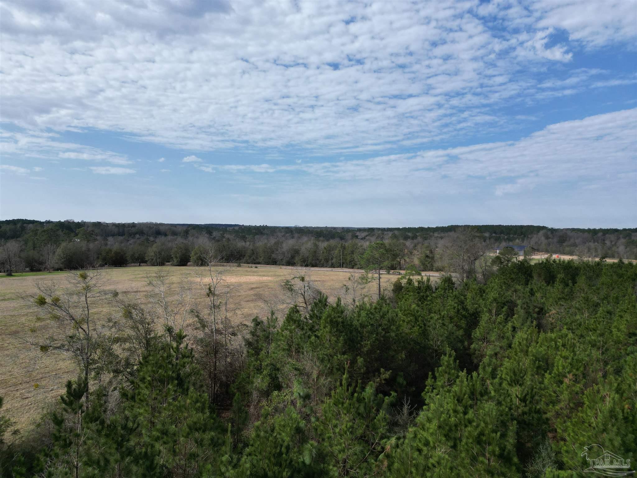 0 Sandy Hollow Road Century, FL 32535 - Photo 8 of 14 Gallery Image 8