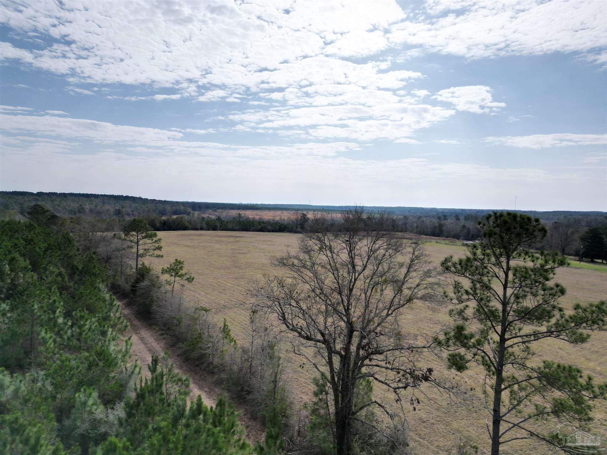 0 Sandy Hollow Road Century, FL 32535 - Photo 9 of 14 Gallery Image 9