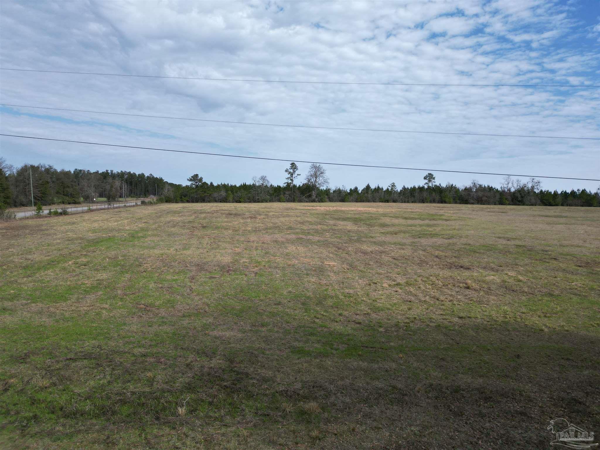 0 Sandy Hollow Road Century, FL 32535 - Photo 10 of 14 Gallery Image 10