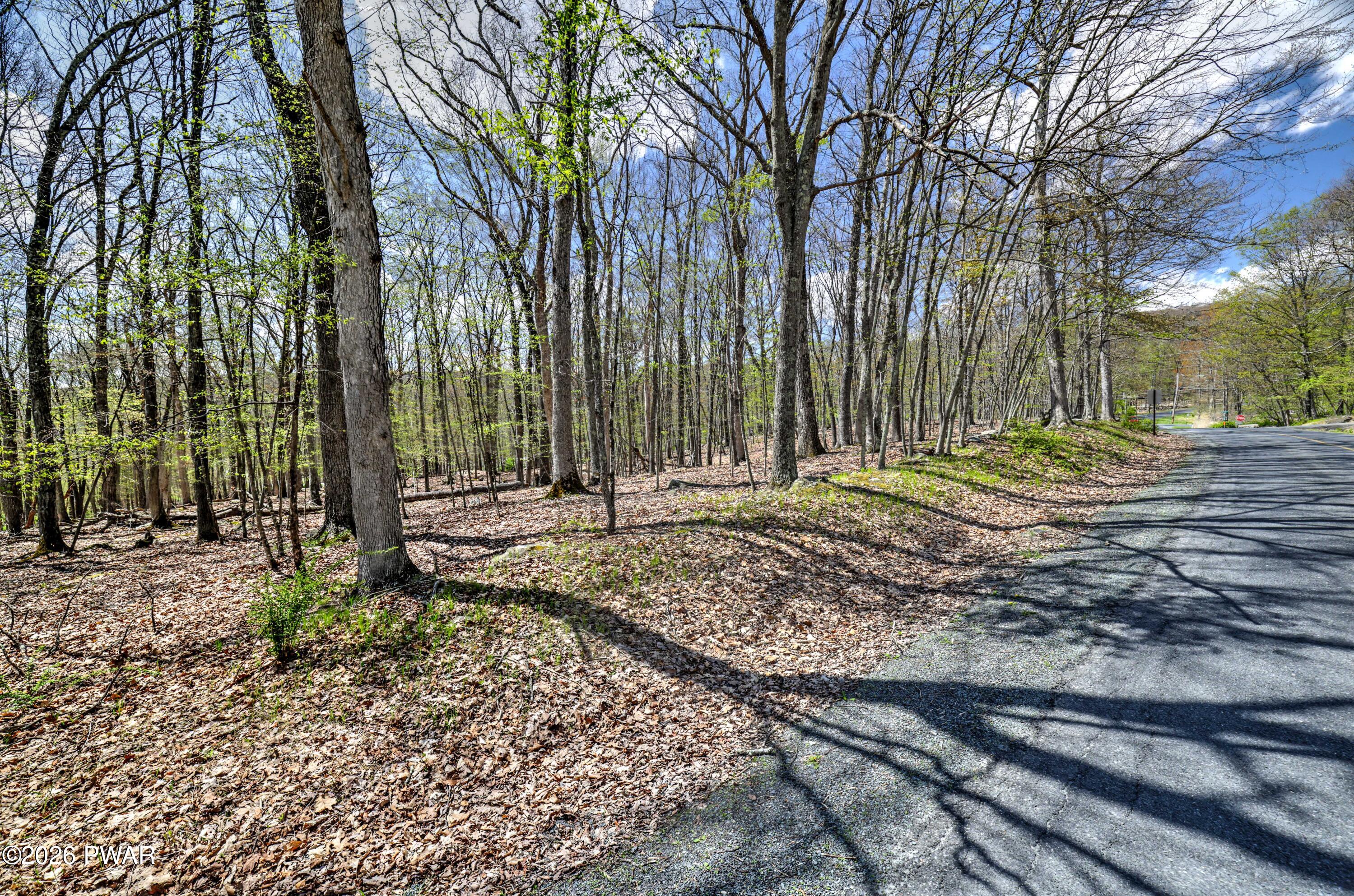 Whippoorwill Drive Bushkill, PA 18324 - Photo 3 of 21