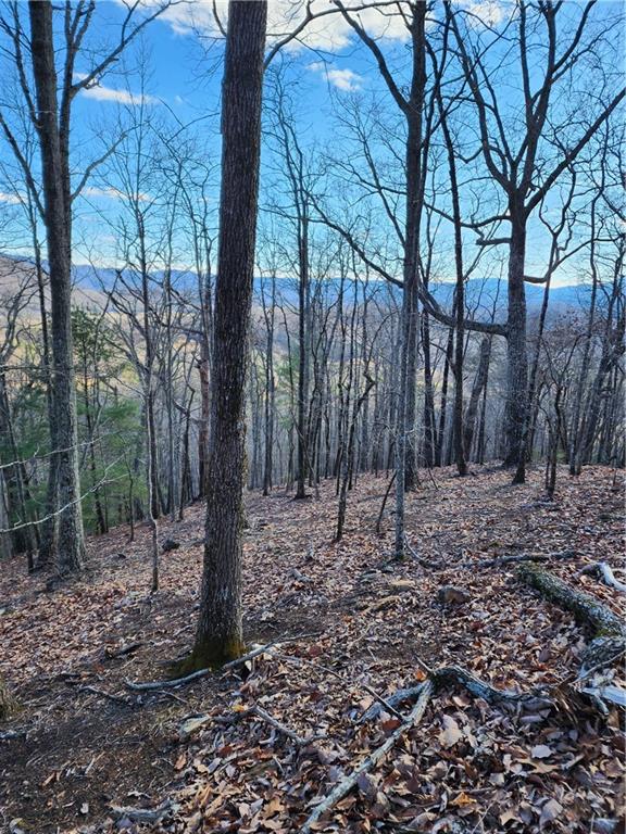 0 Trackrock Gap Road Blairsville, GA 30512 - Photo 7 of 7