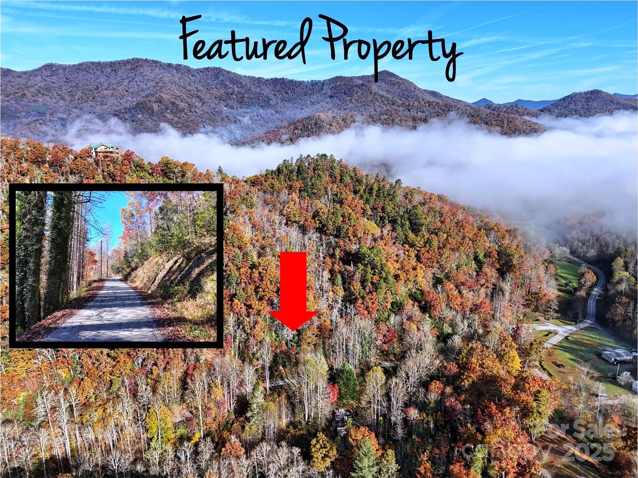 0 Brushy Fork Road Sylva, NC 28779 - Photo 1 of 7