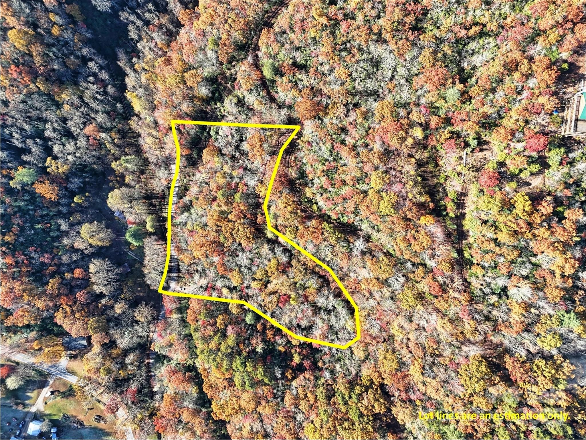 0 Brushy Fork Road Sylva, NC 28779 - Photo 4 of 7