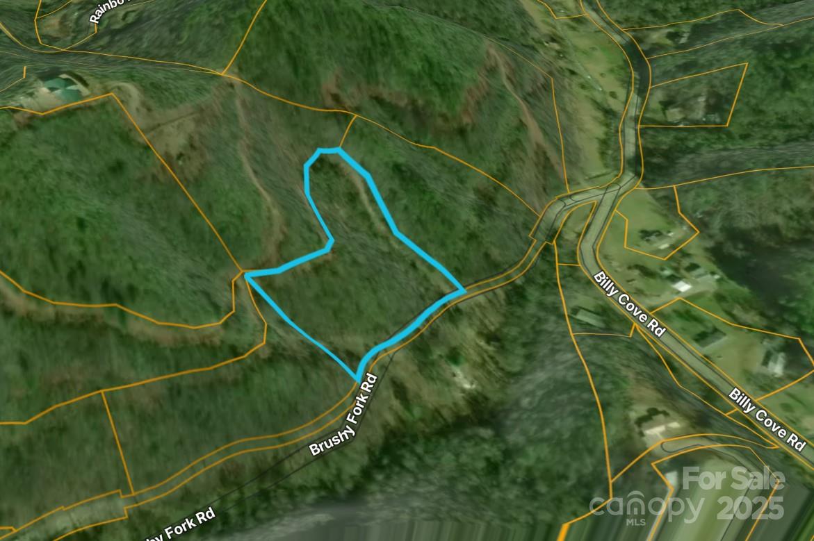 0 Brushy Fork Road Sylva, NC 28779 - Photo 7 of 7 a view of a fan and basketball court