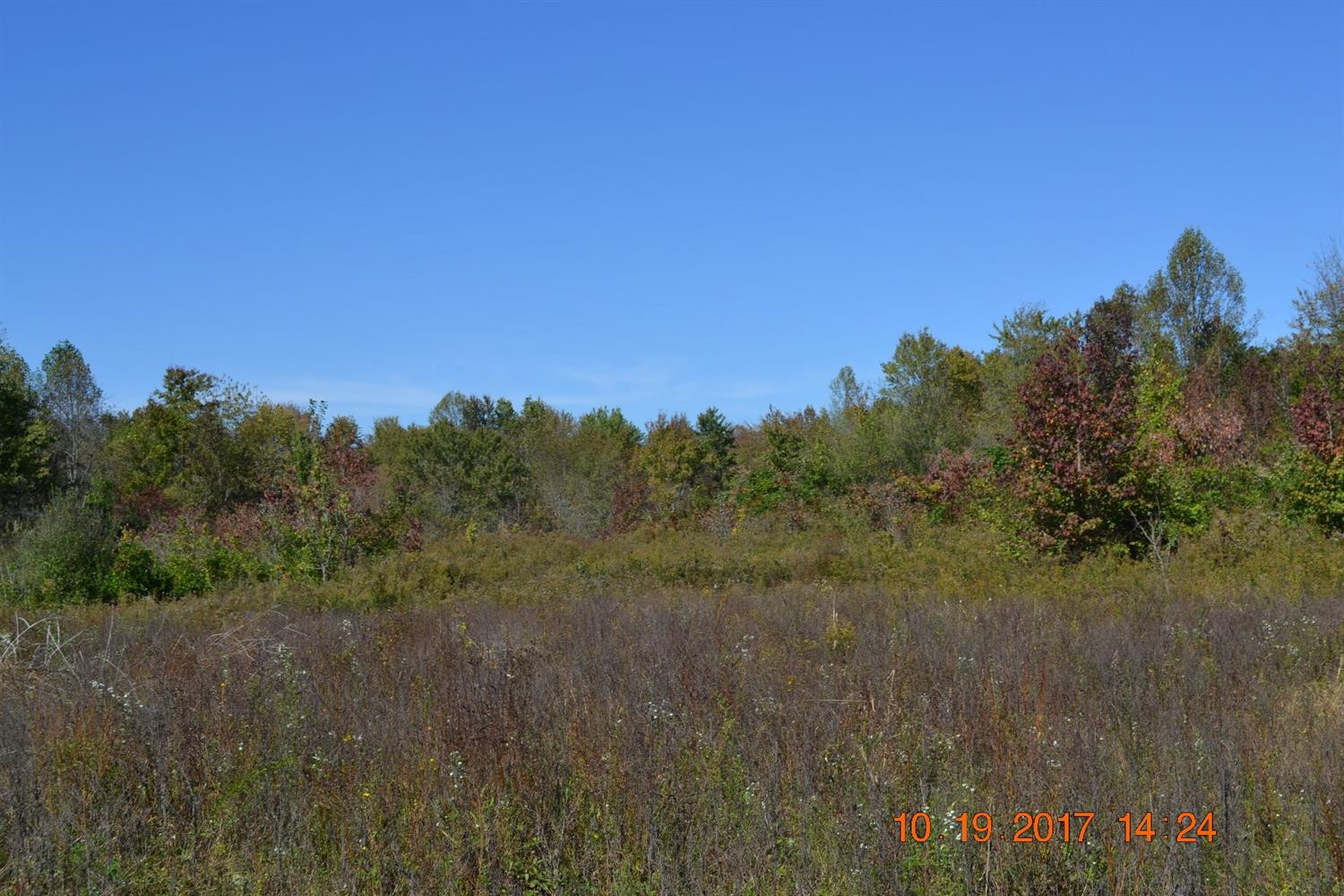 999 Coy Schell Road London, KY 40744 - Photo 3 of 9 Photo 3