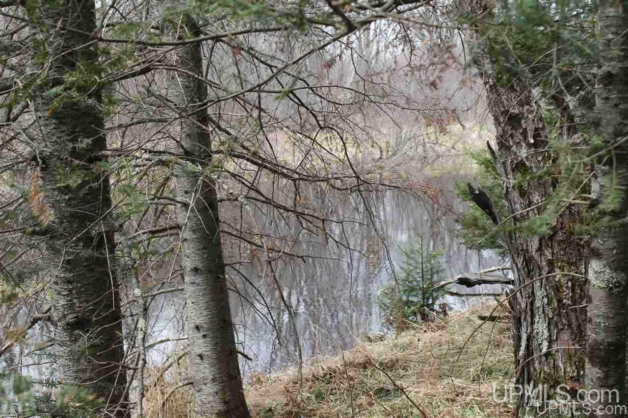 Tbd Off Fr 5252 - (the Interior Road Watersmeet, MI 49969 - Photo 1 of 27 Gallery Image 1