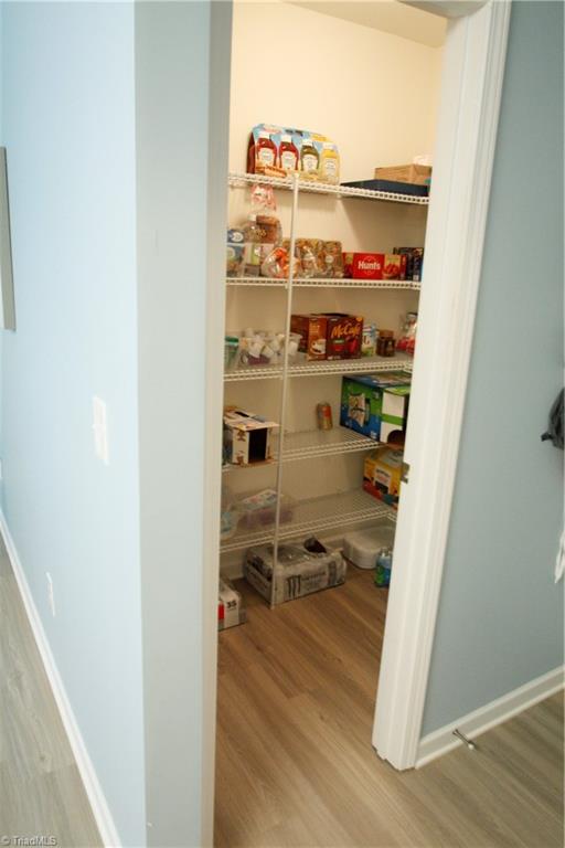 6669 Ridge Bluff Drive Rural Hall, NC 27045 - Photo 15 of 30 Walk-in Pantry