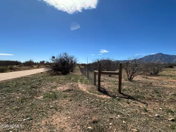 a view of a dry yard with wooden fence