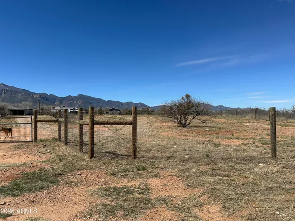 a view of a dry yard with mountain