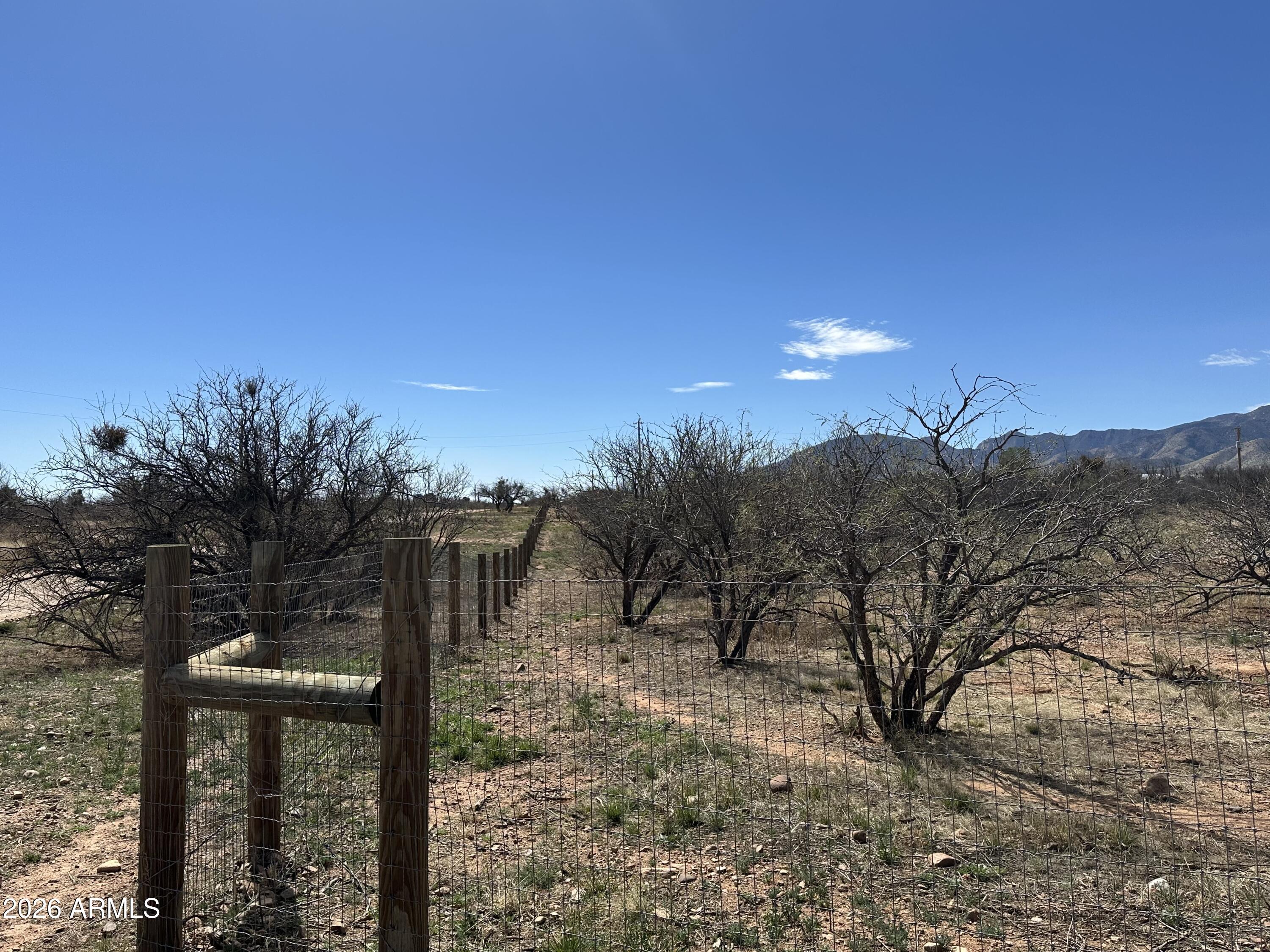 5778 South Kino Road Hereford, AZ 85615 - Photo 15 of 18 a view of a yard in a forest
