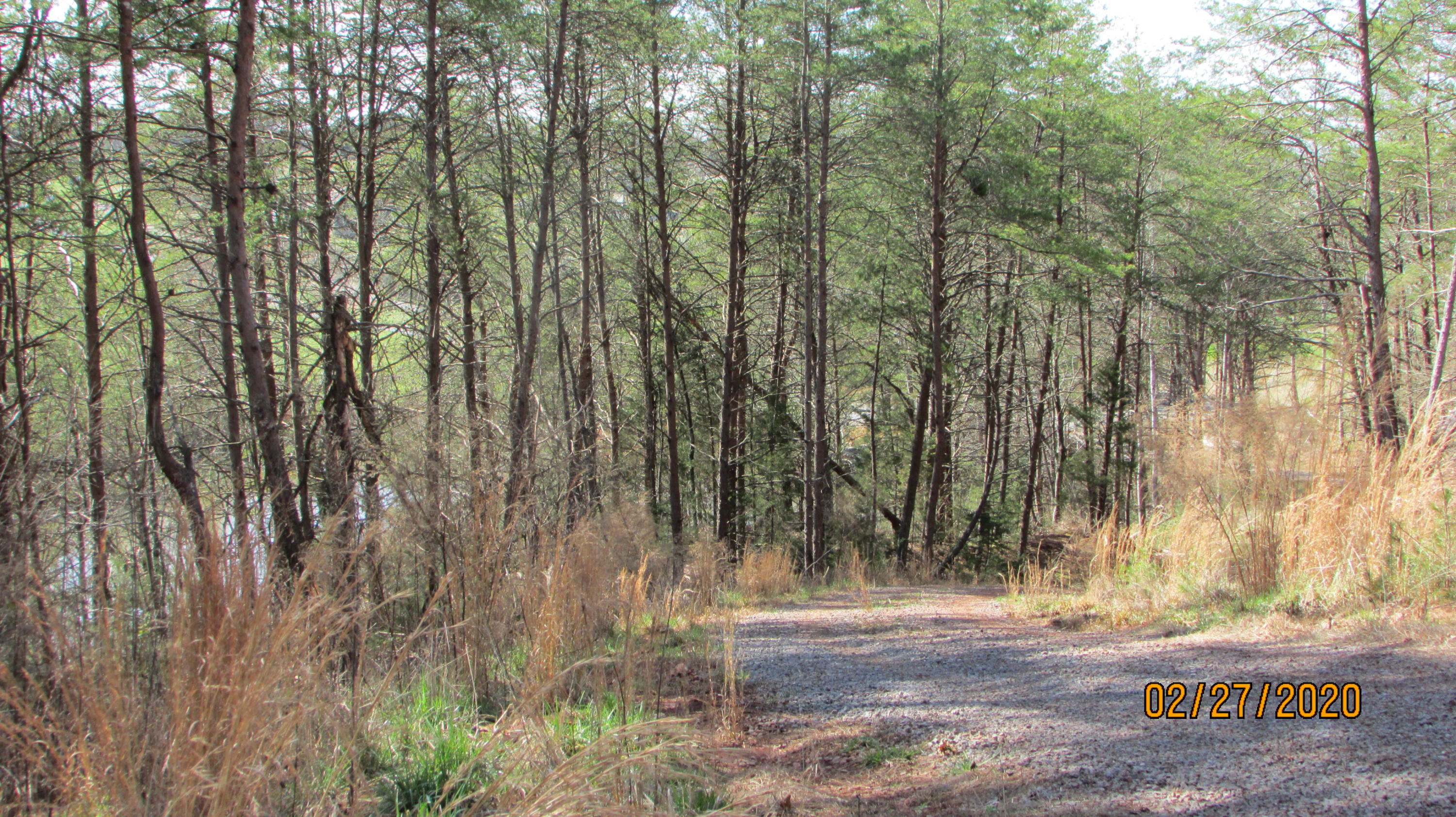 3701 Brook Road Greenback, TN 37742 - Photo 12 of 25 IMG_8495