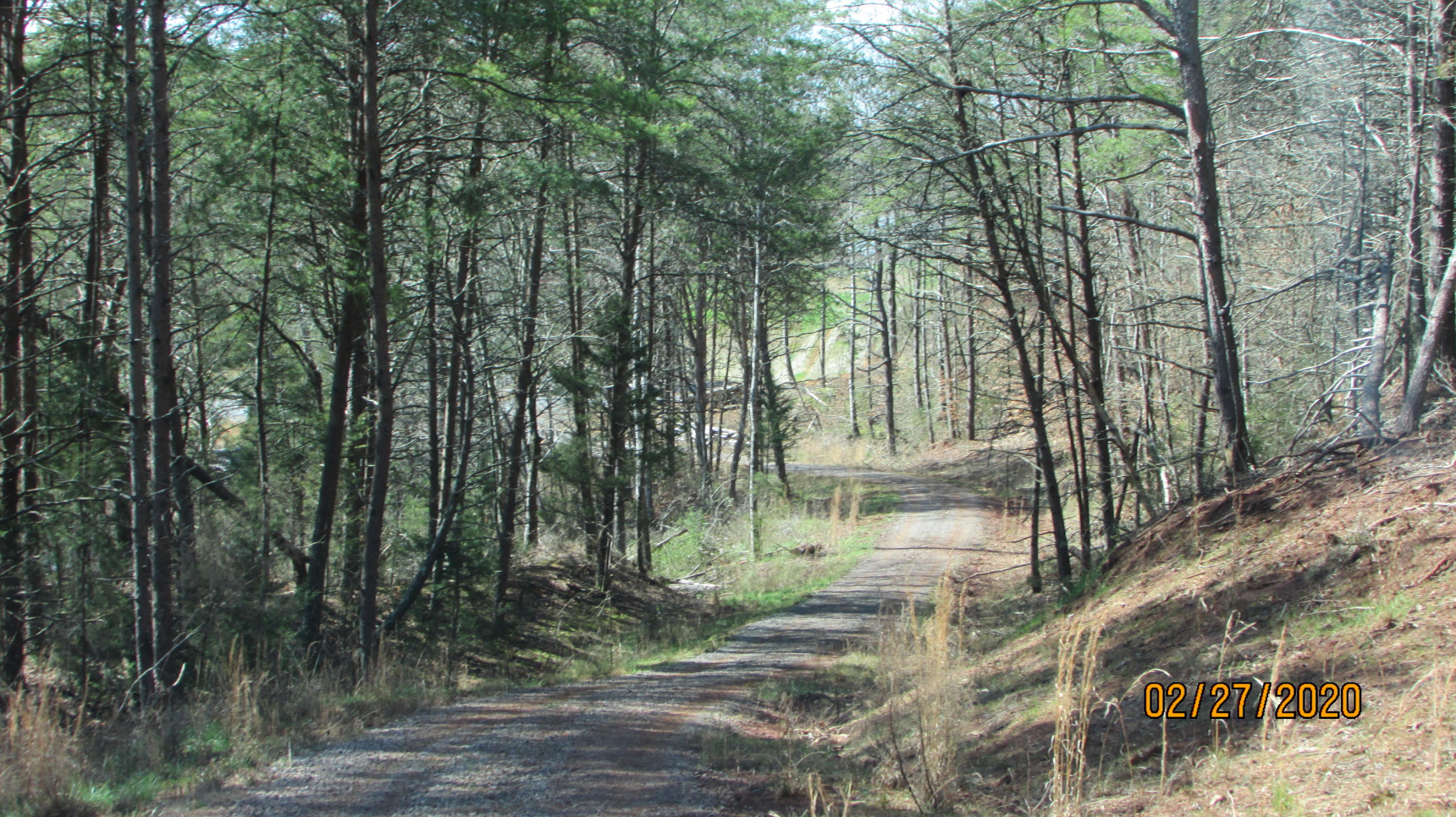 3701 Brook Road Greenback, TN 37742 - Photo 13 of 25 IMG_8497