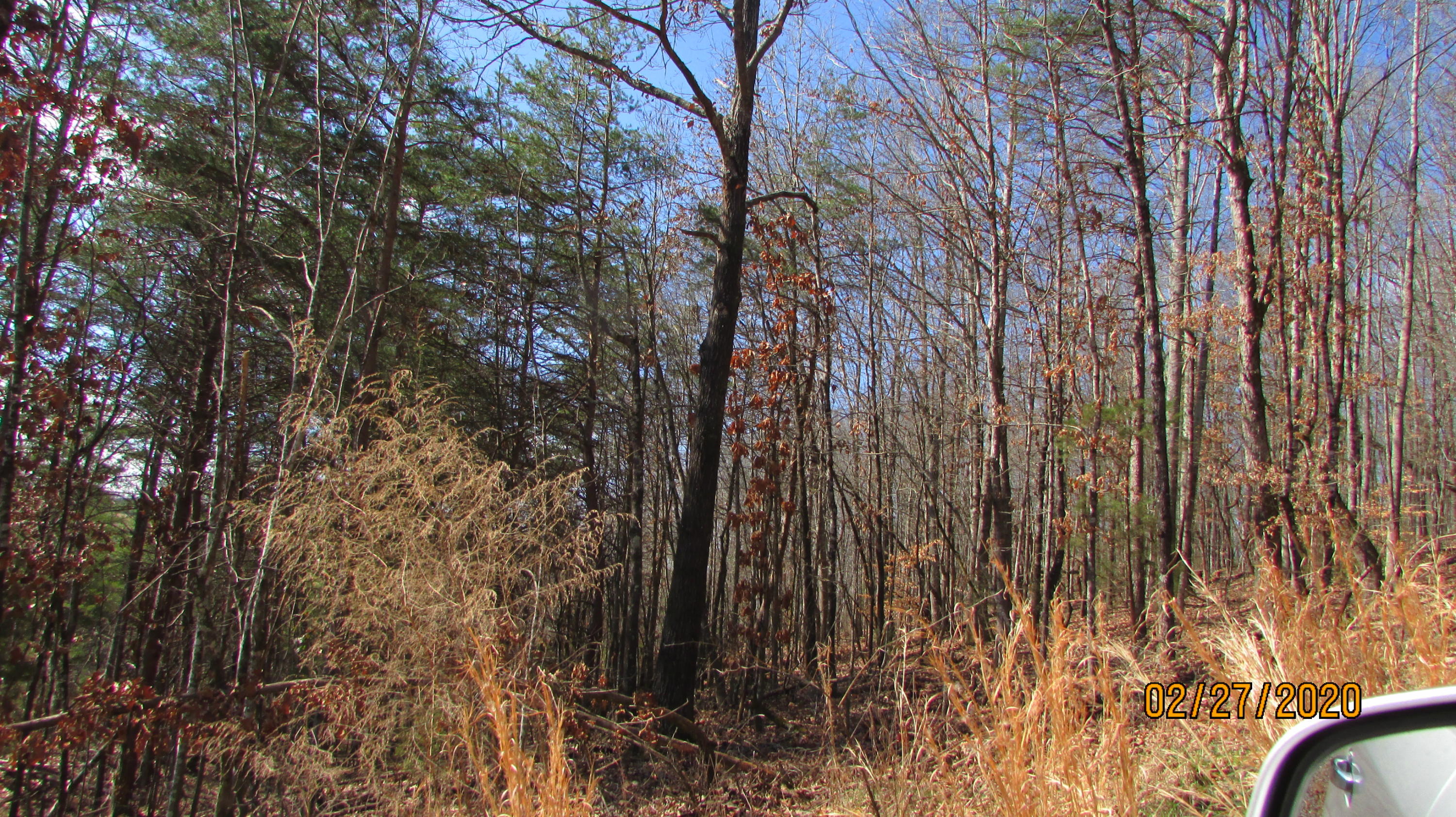 3701 Brook Road Greenback, TN 37742 - Photo 20 of 25 IMG_8492
