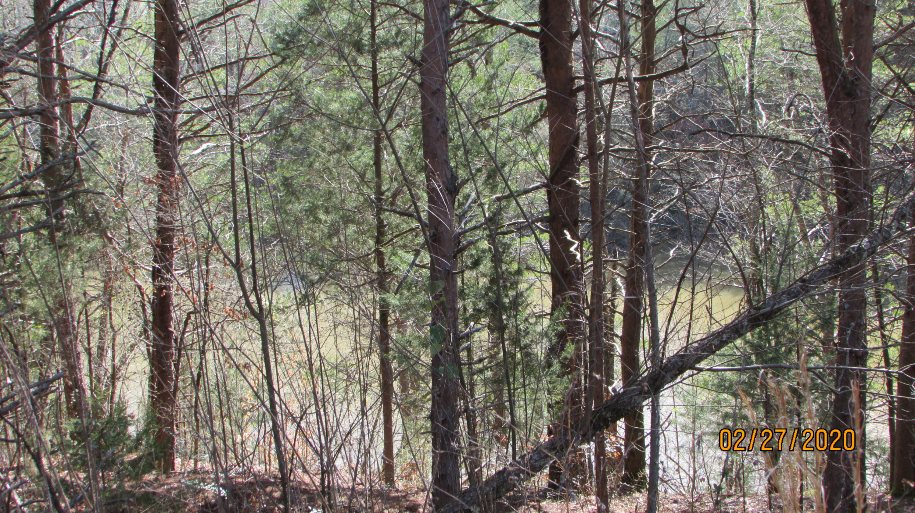 3701 Brook Road Greenback, TN 37742 - Photo 22 of 25 IMG_8496