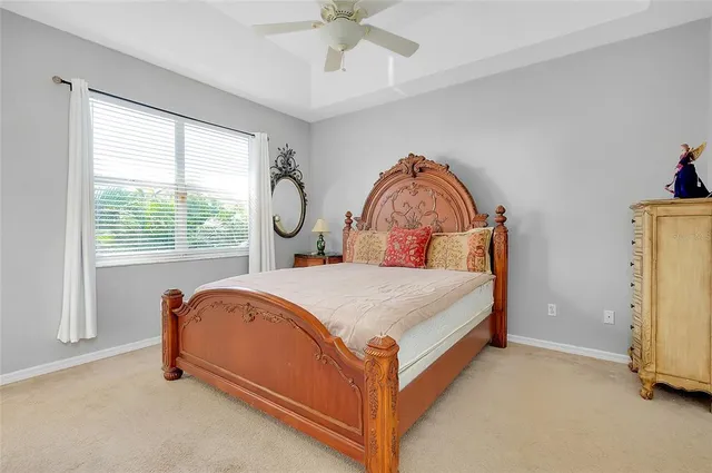 a view of a garden with plants and large trees