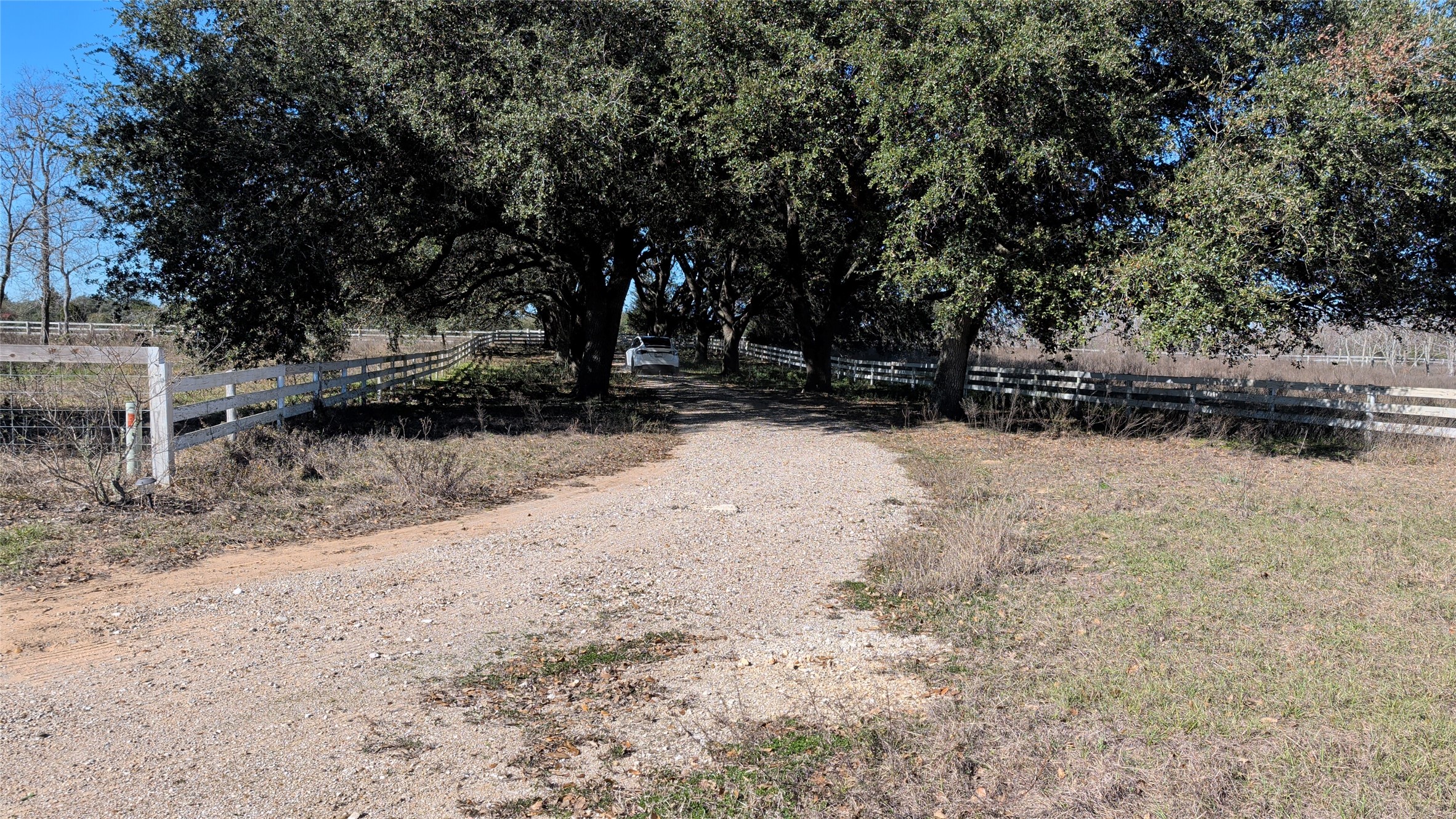 2368 Old Columbus Road North Sealy, TX 77474 - Photo 12 of 16 a view of yard covered with snow in front of house