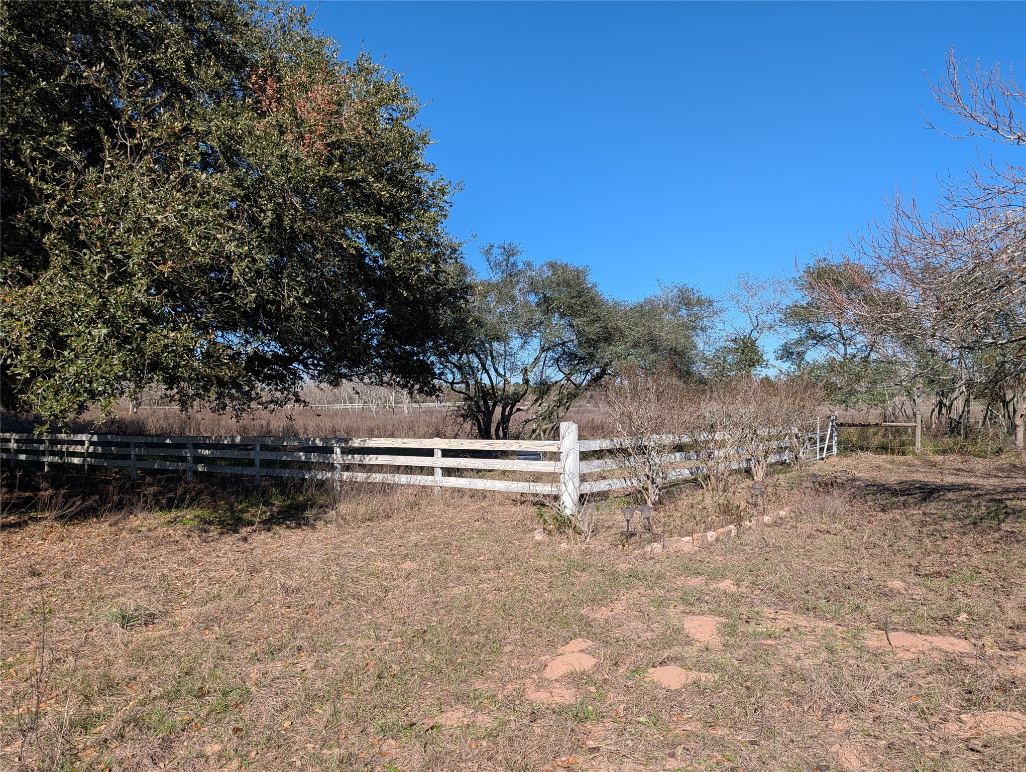 2368 Old Columbus Road North Sealy, TX 77474 - Photo 3 of 16 a view of a yard with a tree