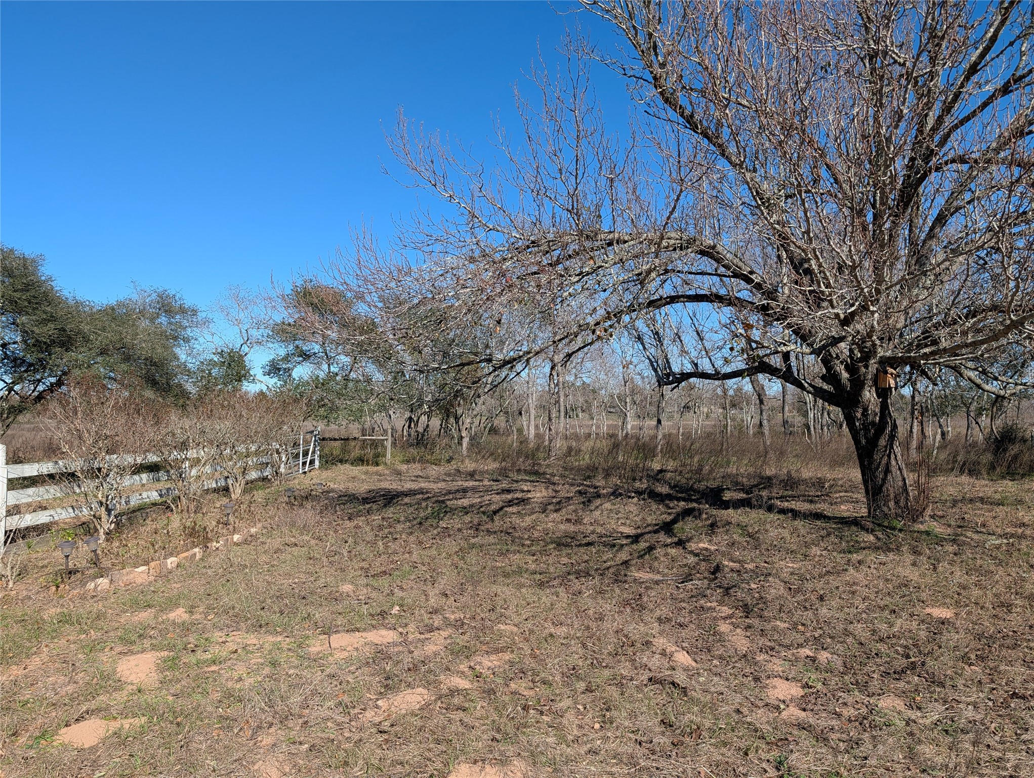 2368 Old Columbus Road North Sealy, TX 77474 - Photo 8 of 16 a backyard of a house with trees and wooden fence