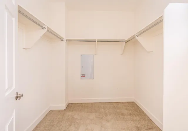 a view of a park with bench and trees