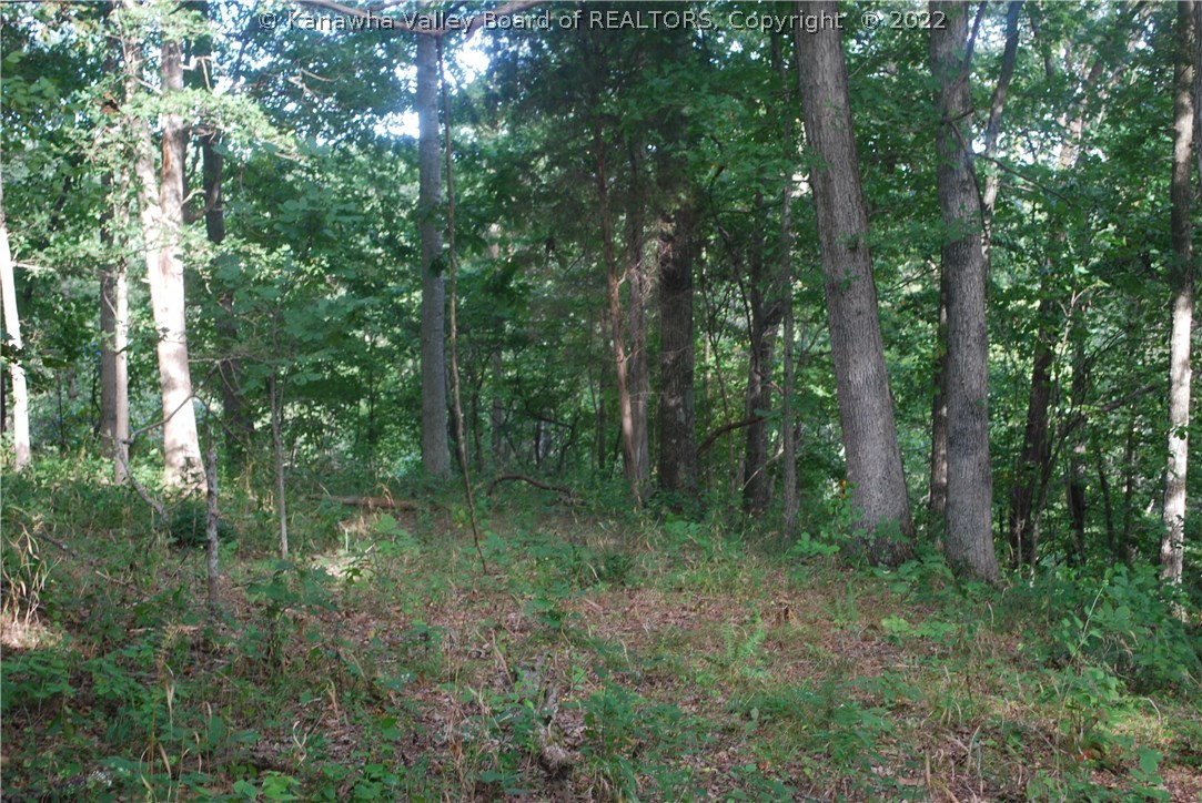 0 Jerrys Run Road Fraziers Bottom, WV 25082 - Photo 3 of 8 Gallery Image 3