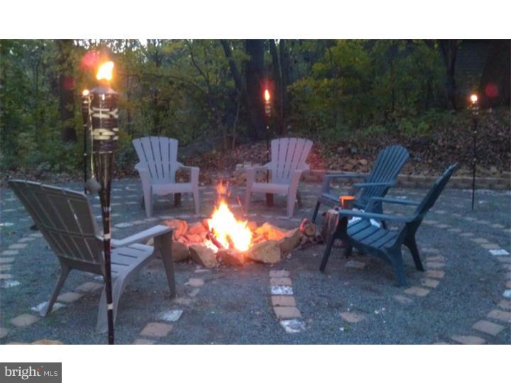 1675 Yarnall Road Pottstown, PA 19464 - Photo 21 of 22 Side Yard
