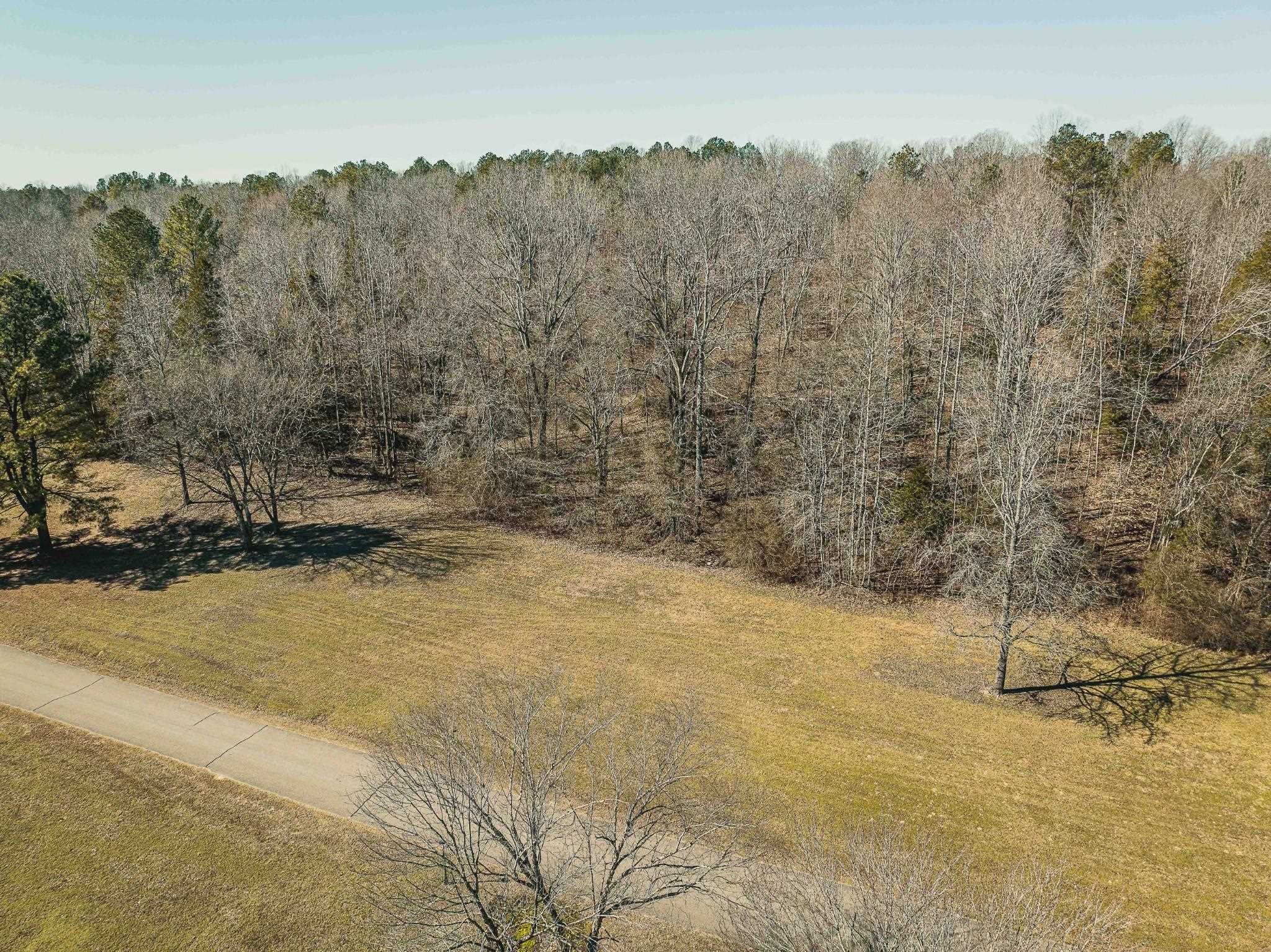 Lot 141 Creek Ridge Cove Parsons, TN 38363 - Photo 7 of 17 a view of a yard