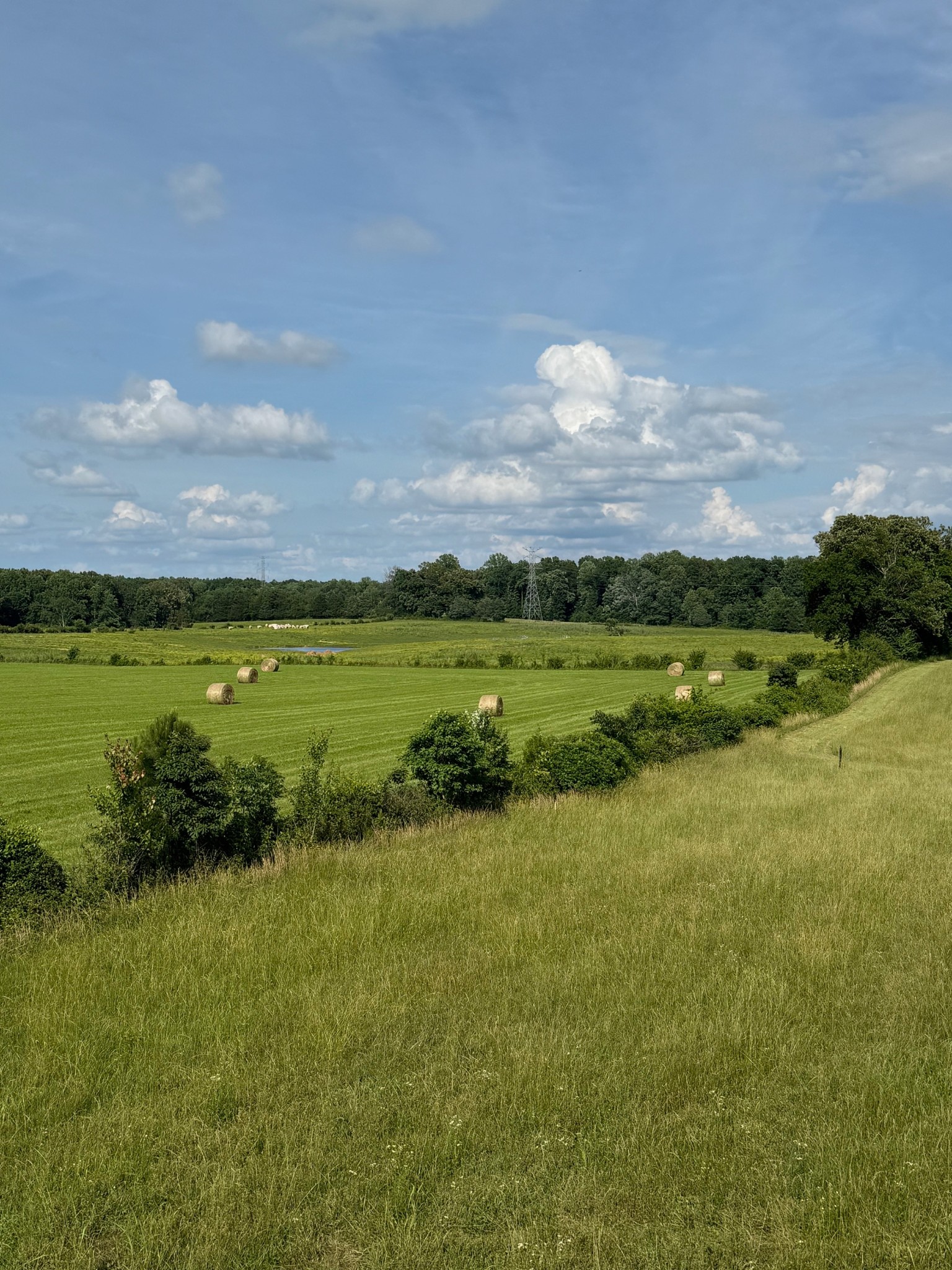 128 Copperas Creek Road Tullahoma, TN 37388 - Photo 2 of 27 a view of a lake with a big yard
