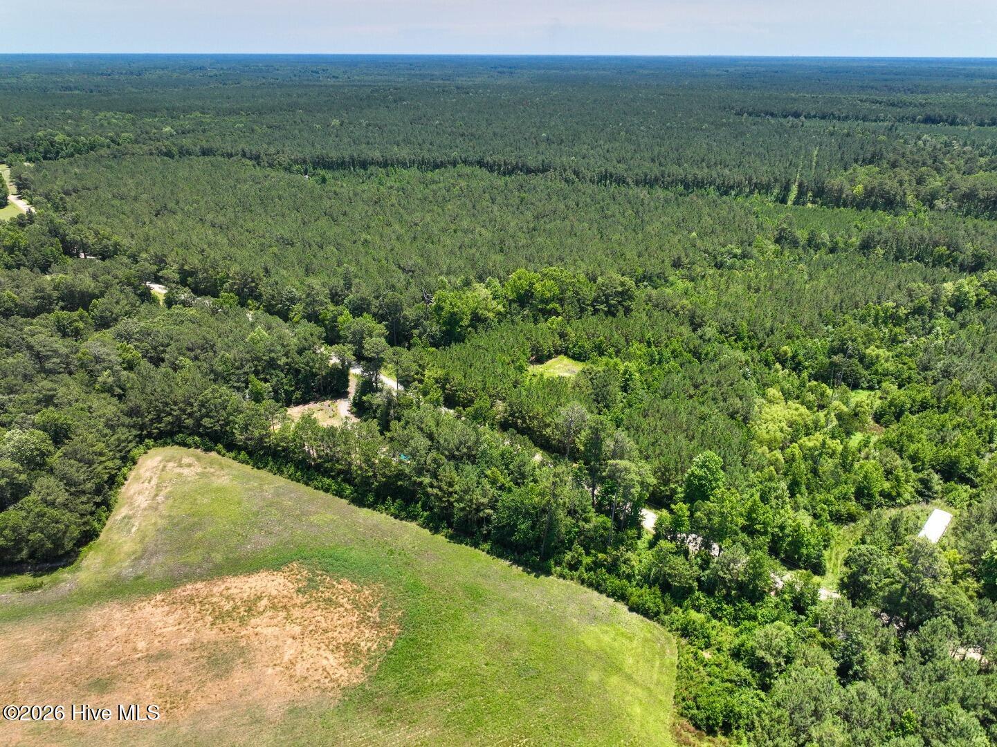 0 Rooks Road Atkinson, NC 28421 - Photo 38 of 117