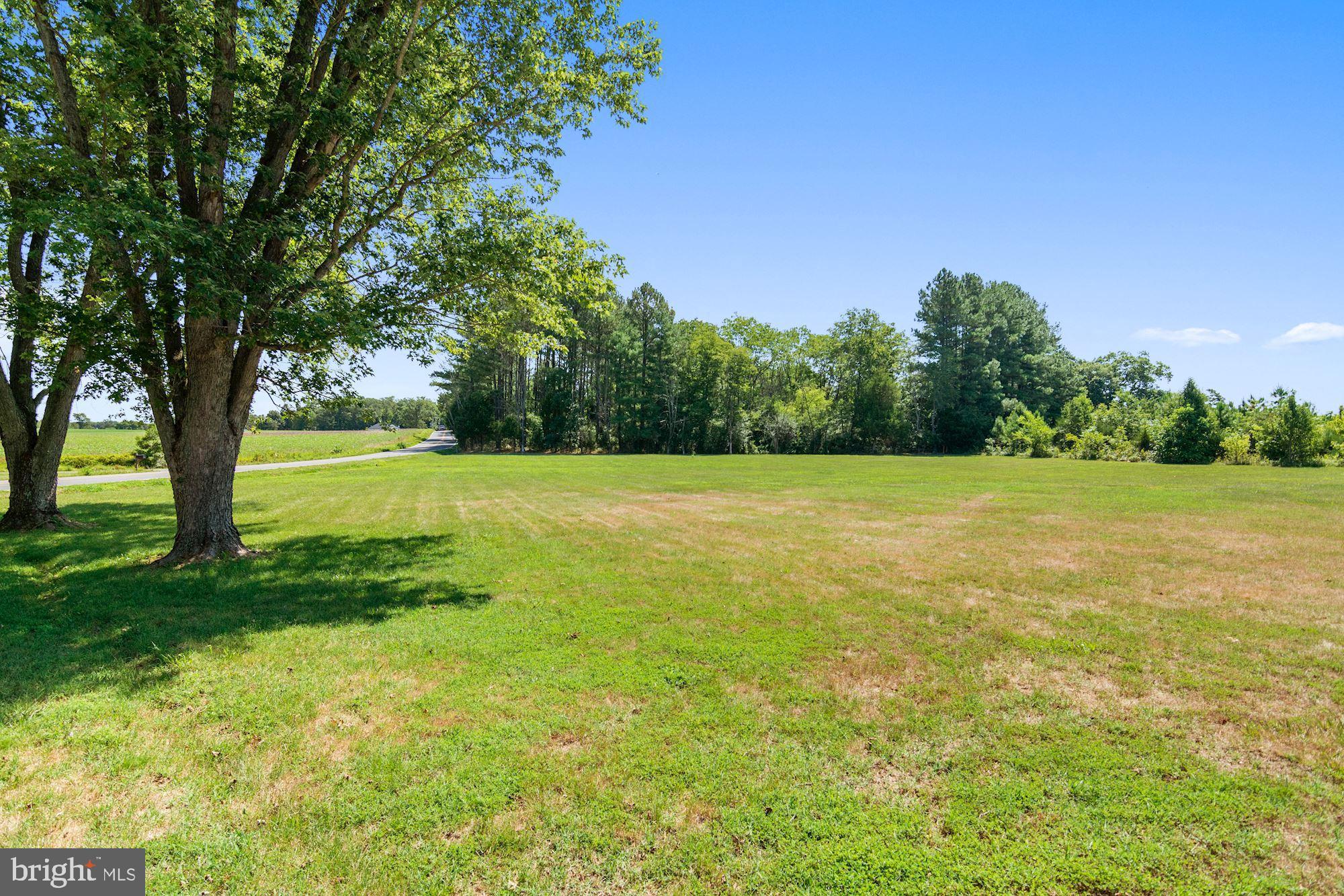 11023 Elk Run Road Catlett, VA 20119 - Photo 6 of 38 View of Street