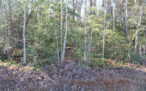 Bullen Gap Road Blue Ridge, GA 30513 - Photo 1 of 1 Main View