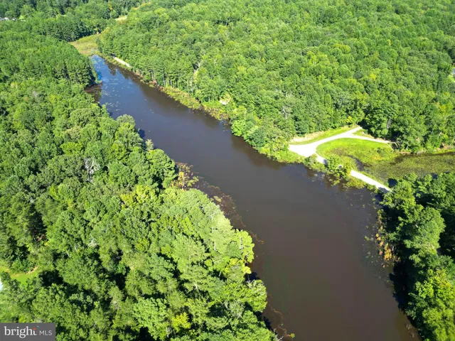 a view of a garden with a flower