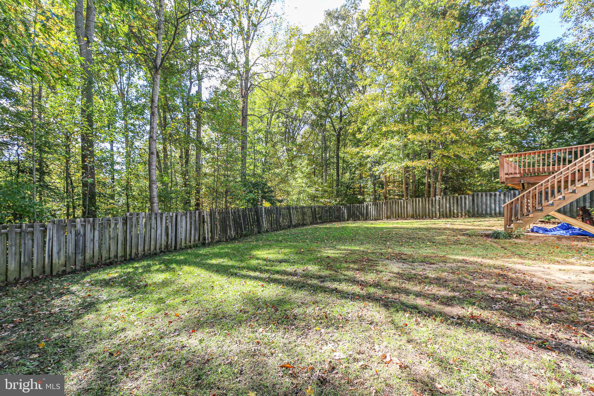 8 Rutledge Cove Ruther Glen, VA 22546 - Photo 31 of 46 a view of a backyard with large trees and wooden fence