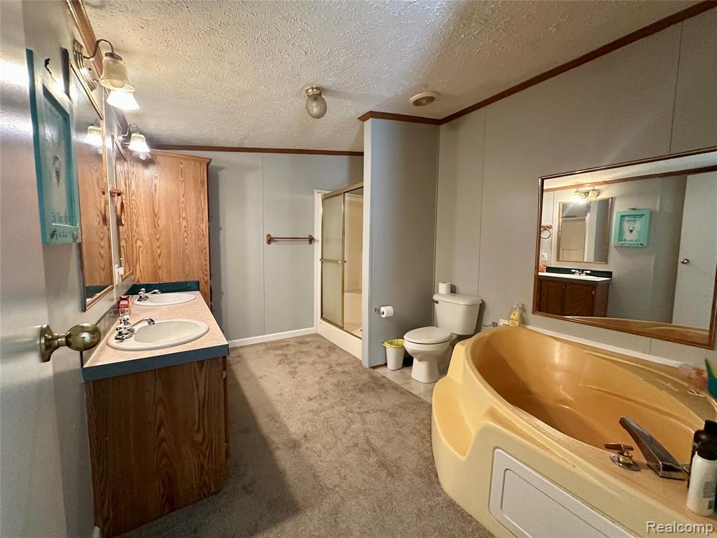 2505 Koylette Road Marlette, MI 48453 - Photo 24 of 39 Gallery Image 24