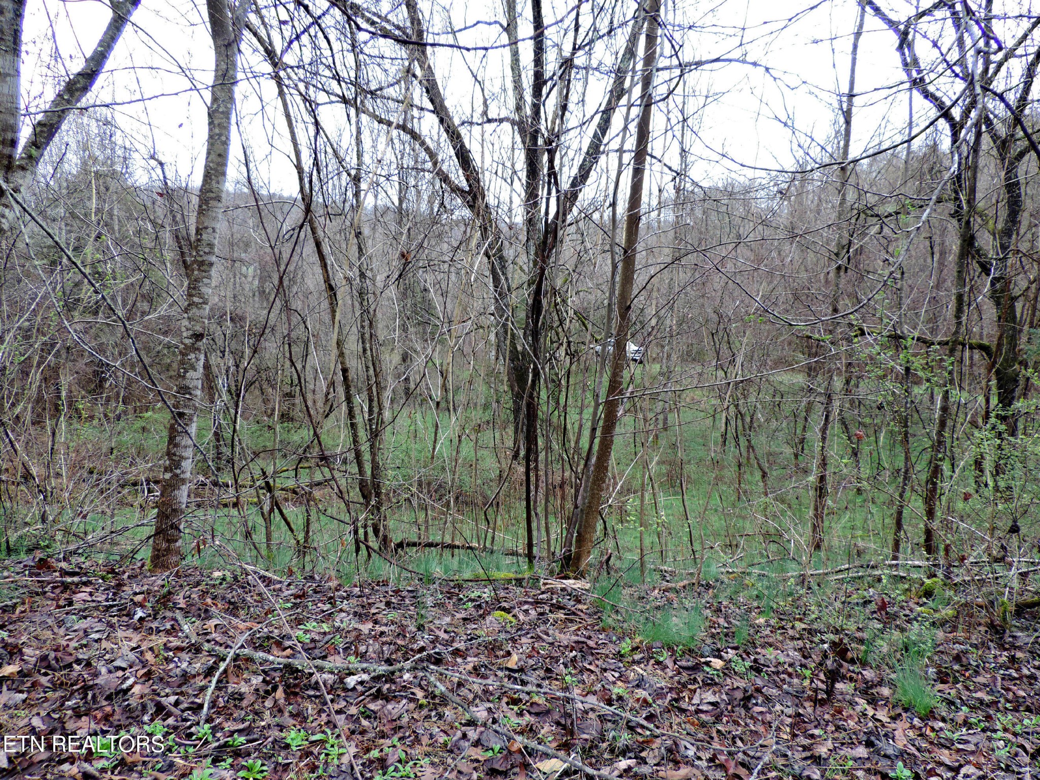 10 Hickory Spgs Road Washburn, TN 37888 - Photo 7 of 21 Gallery Image 7