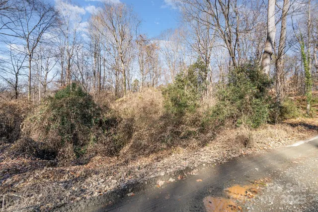 a view of dirt yard with a tree