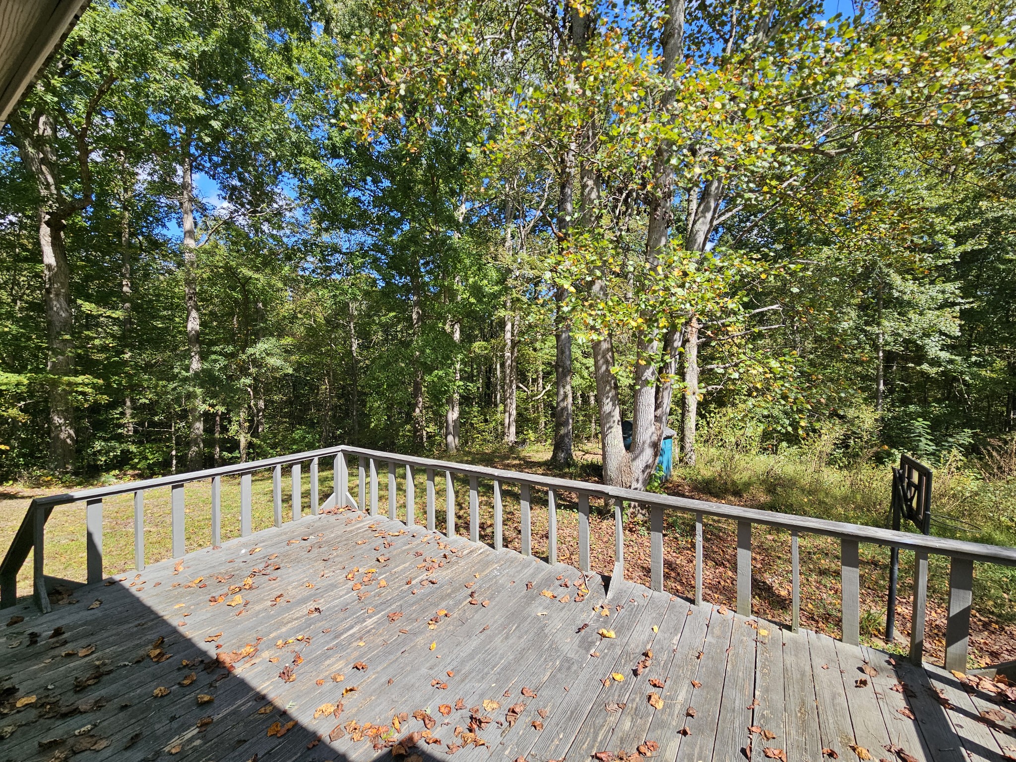 50 Kelly Road Holladay, TN 38341 - Photo 17 of 17 Gallery Image 17