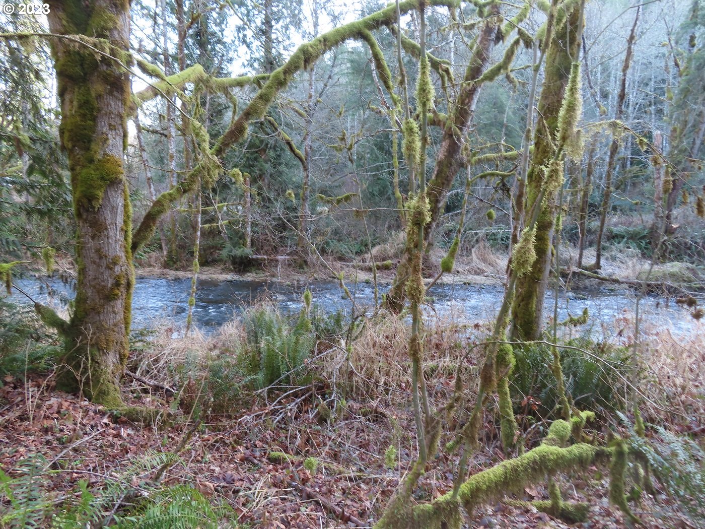 Winston Creek Road, Unit 6 Mossyrock, WA 98564 - Photo 17 of 29 Gallery Image 17
