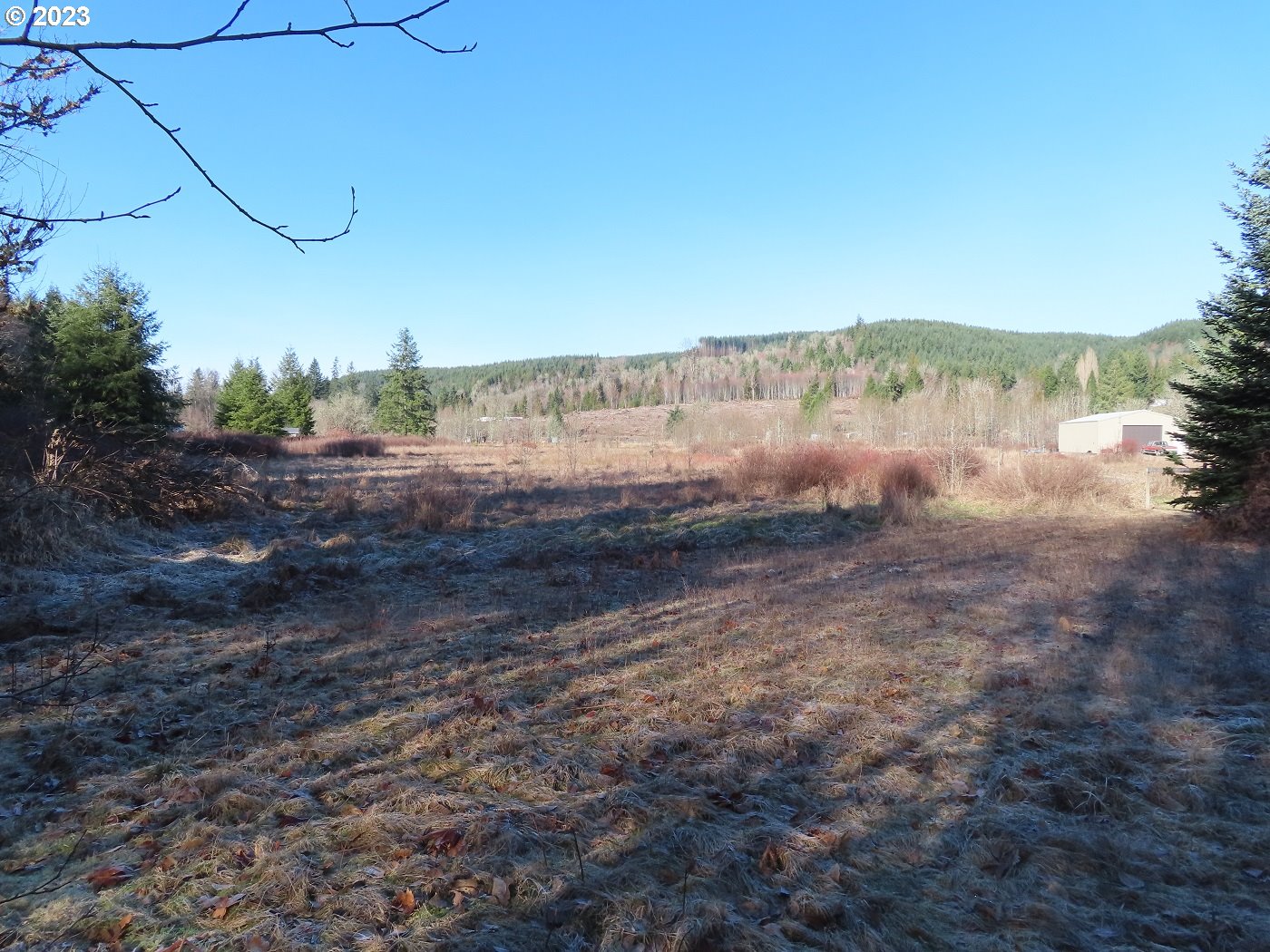 Winston Creek Road, Unit 6 Mossyrock, WA 98564 - Photo 4 of 29 Gallery Image 4