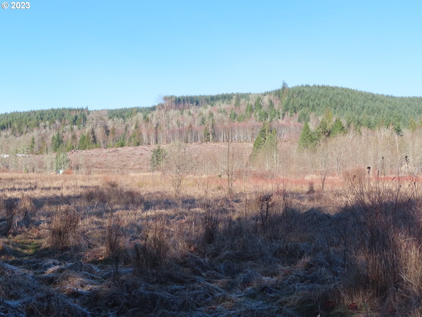 Winston Creek Road, Unit 6 Mossyrock, WA 98564 - Photo 8 of 29 Gallery Image 8