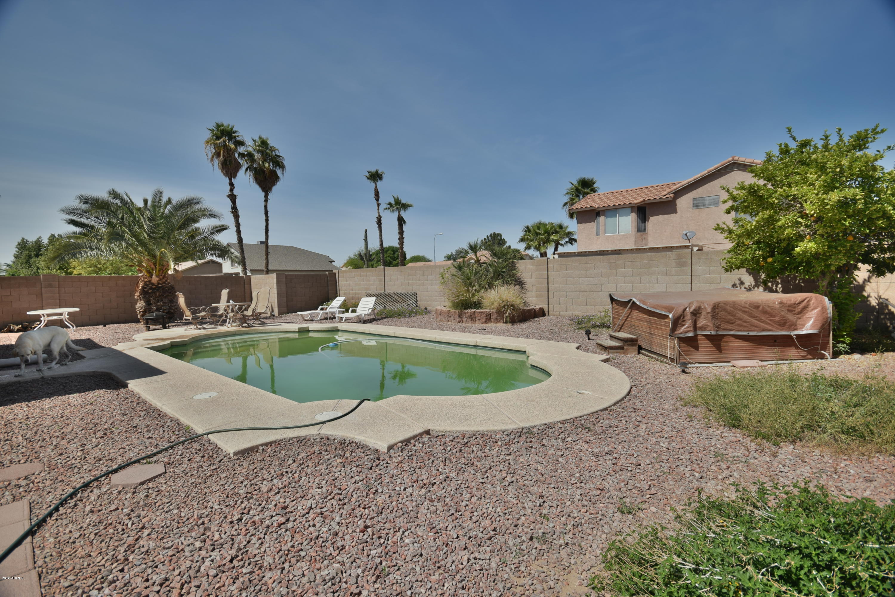 7672 West Redfield Road Peoria, AZ 85381 - Photo 26 of 27 DSC_1165