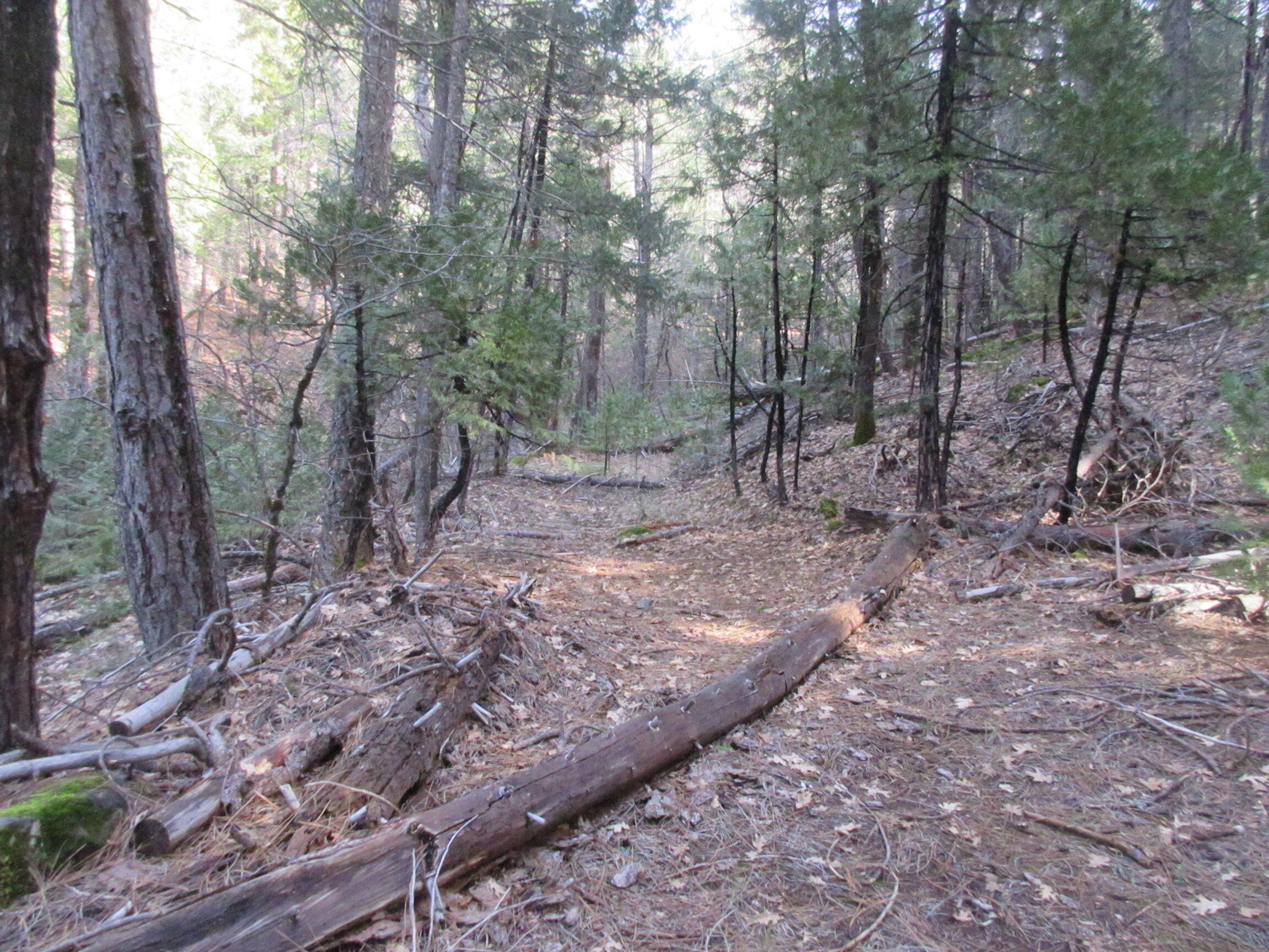 30425 Frontier Road Oak Run, CA 96069 - Photo 30 of 35 IMG_0132