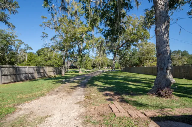 a view of a backyard with tree s